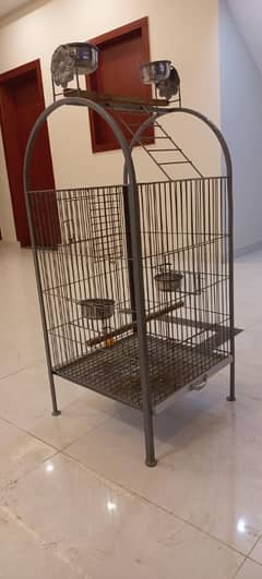 Birds Cage for African Grey Parrot