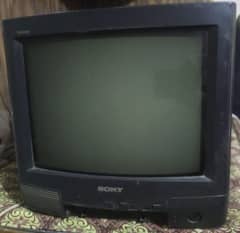 Television