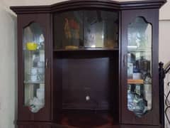 Showcase and storage divider