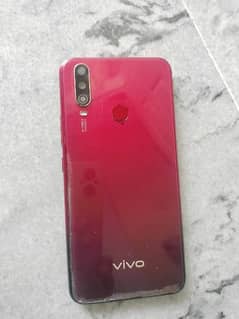 Vivo