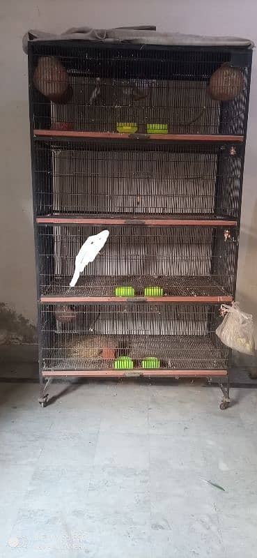 cage for sell 1