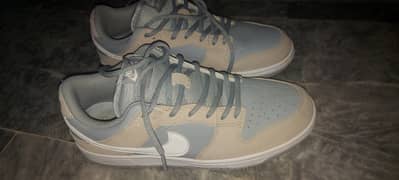 Nike dunks low