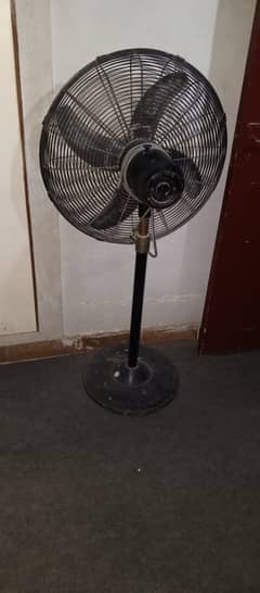 Fan