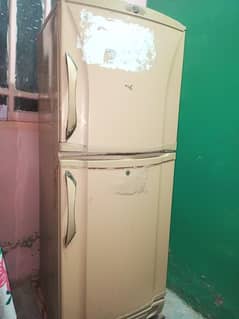 pell ka fridge medium size