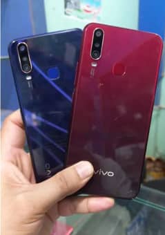 Vivo