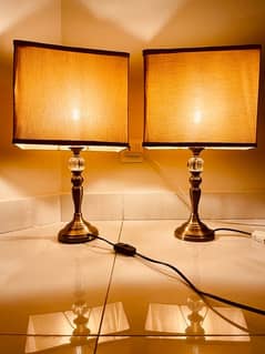 Impored antique pair of lamp