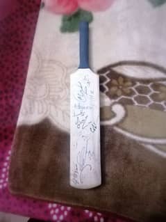 Sign bat by cricketers