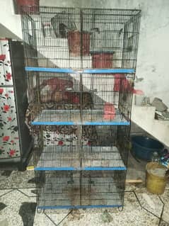 Birds 8 Portion Cage