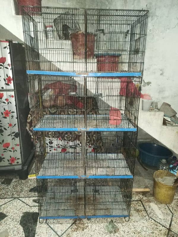 Birds 8 Portion Cage 0