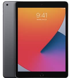 iPad 8th Generation Wi-Fi 128GB - Space Gray (8th Generation)