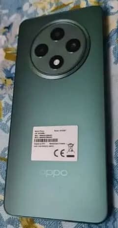 Oppo Reno12f 5G 12gb/256gb Olive Green Box open