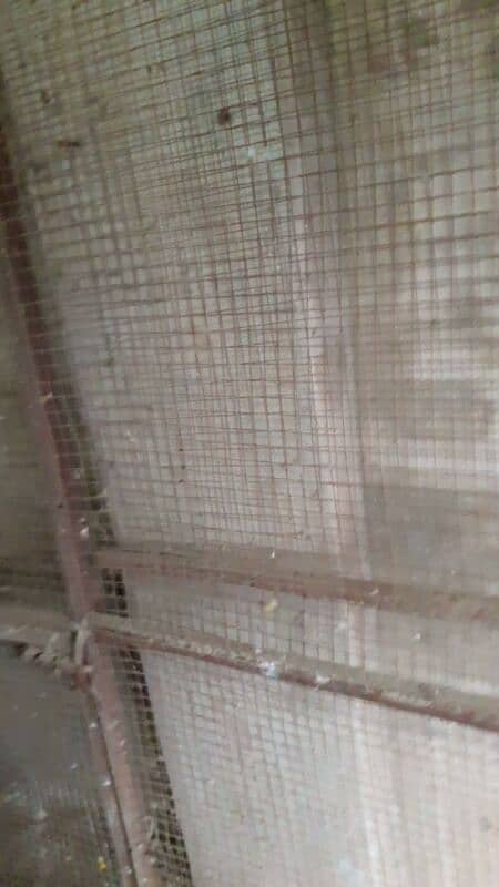 BIRDS SHED PARTITION FRAME FOR SALE 3