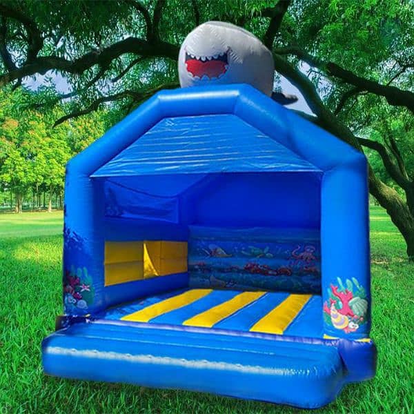 We have all types of jumping castles available at reasonable prices 14