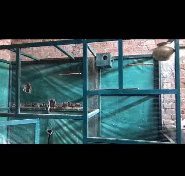 Birds master cage what’s app 0309.1688. 103 3