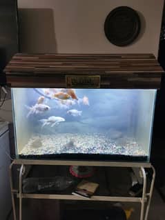 aquarium 2.5 feet