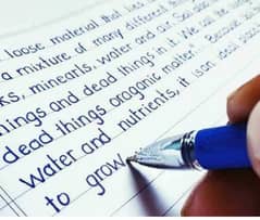 Hand writing Assignments jobs