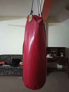 Punching bag