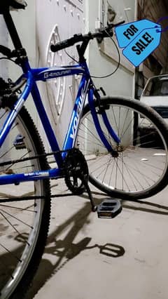 GIANT VOGUE BICYCLE IN NATURAL BLUE COLOUR