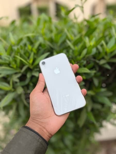 IPHONE XR FU 128 GB BH 81 WATERPACK ALLOK FACE ID & TRUE OK URGENTSALE 3