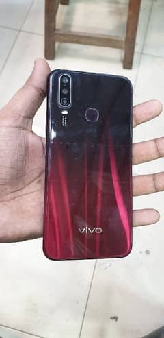 vivo