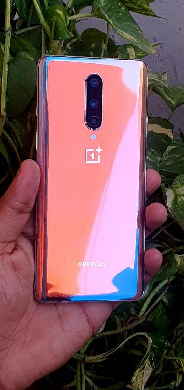 Oneplus 8 8GB 128GB PTA Approved 12