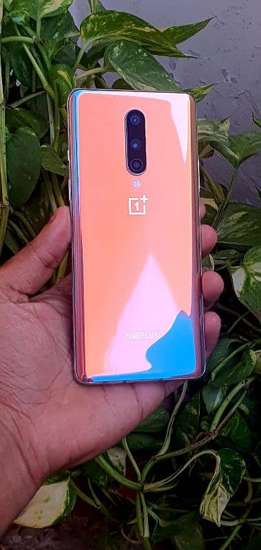 Oneplus 8 8GB 128GB PTA Approved 15