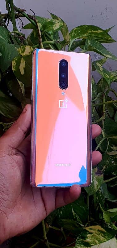 Oneplus 8 8GB 128GB PTA Approved 16