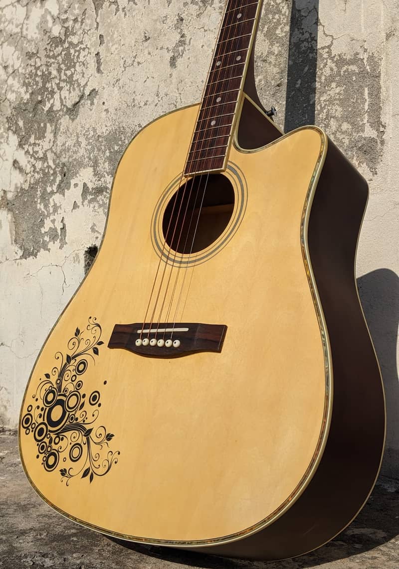 Professional Brand New Acoustic Guitar 0