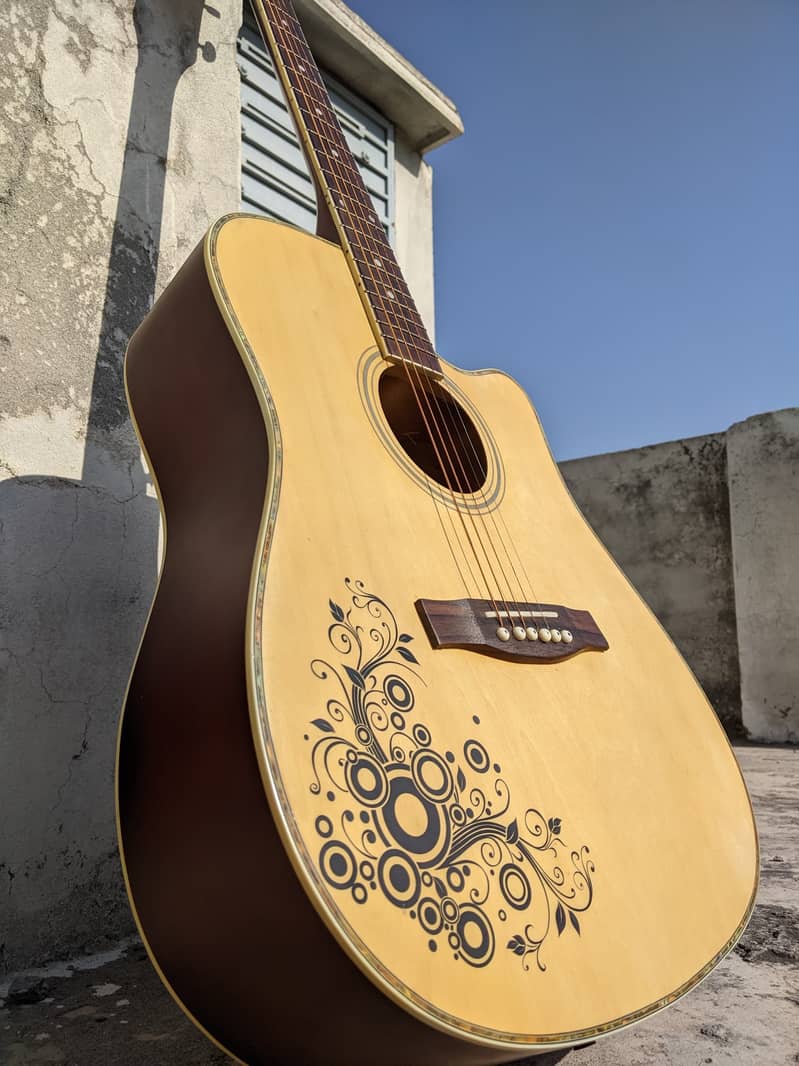 Professional Brand New Acoustic Guitar 4