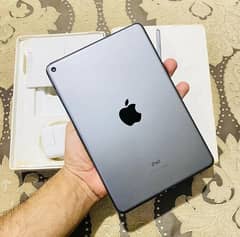 iPad 5(mini)