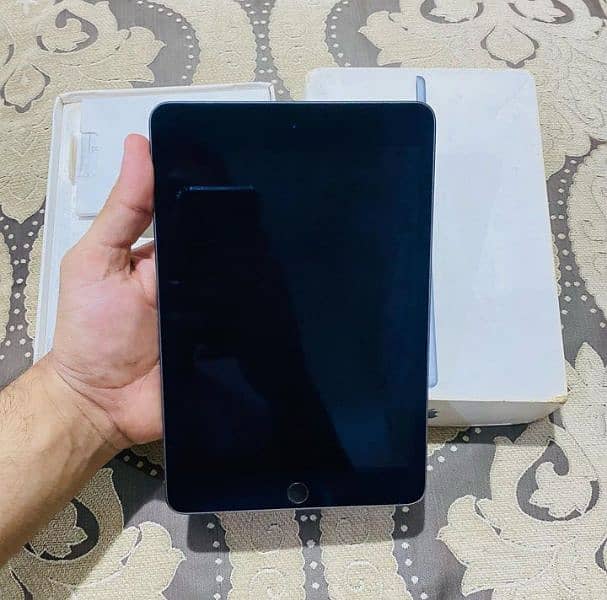 iPad 5(mini) 1