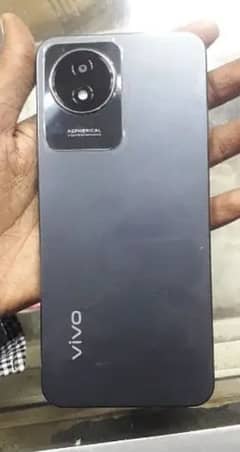 Vivo