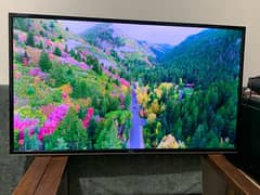 Tcl 55'' smart original led no fault in it Using in home (Call me)