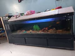 Big Fish Aquarium with Fishes and accessories