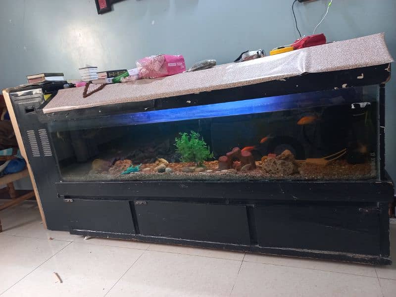 Big Fish Aquarium with Fishes and accessories 0