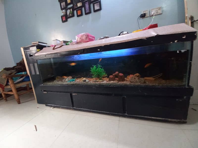 Big Fish Aquarium with Fishes and accessories 2