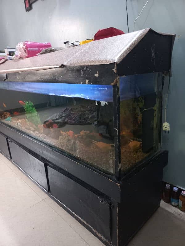 Big Fish Aquarium with Fishes and accessories 3