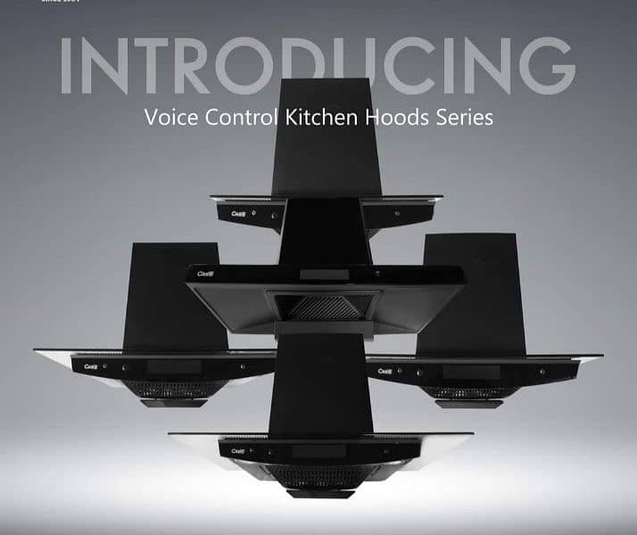 kichen hood/ electric kitchen hood/ exhaust hood/ chemnye hood 0