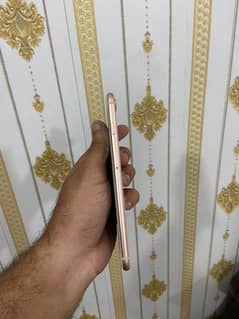 iphone 8plus 256 gb pta approved