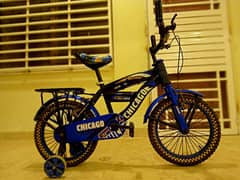 KIDS BICYCLE NEW MODEL FOR SALE