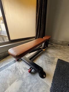 Adjustable Gym Bench | A few months used | 9/10 Condition 0