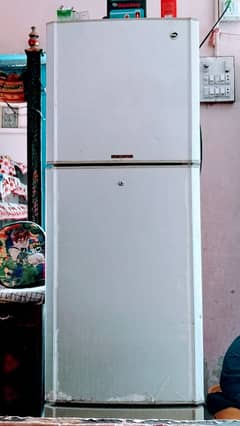 Pel Refrigerator Medium Size 0