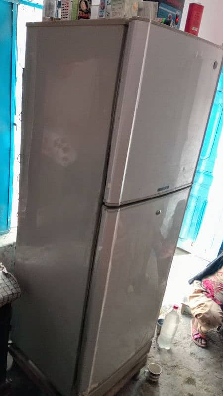 Pel Refrigerator Medium Size 5