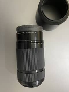 Sony 55-210mm f/4.5-6.3 Oss 0