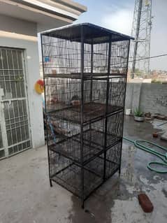 Cage for Parrots and Pigeons