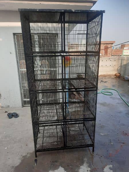 Cage for Parrots and Pigeons 1