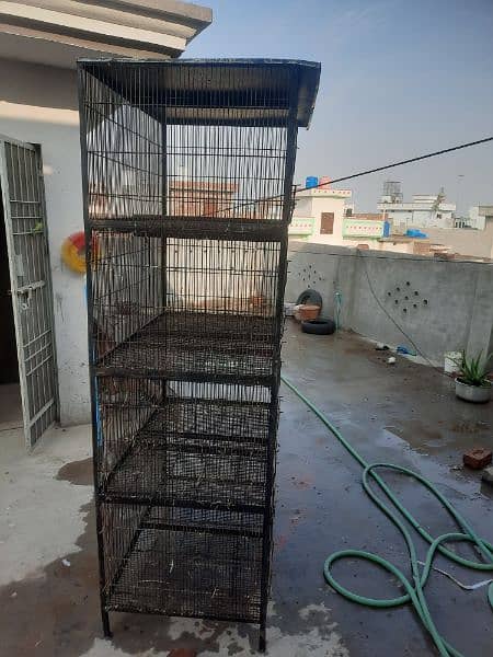 Cage for Parrots and Pigeons 3