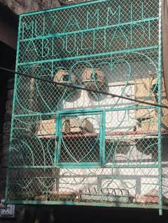 Love birds Cage(pinjra) for sale