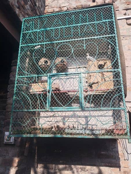 Love birds Cage(pinjra) for sale 1