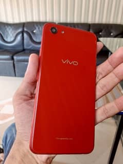 vivo